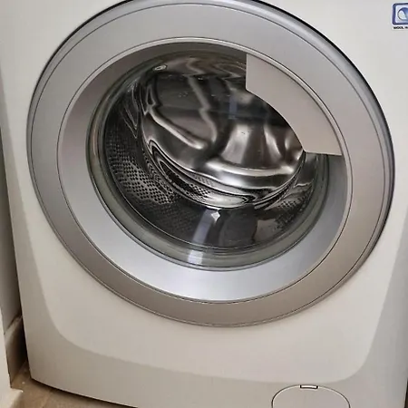 Estrella De Blanca * La Oliva